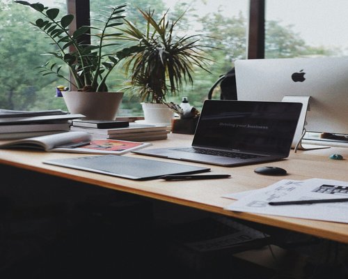 Modern office desk setup with plants